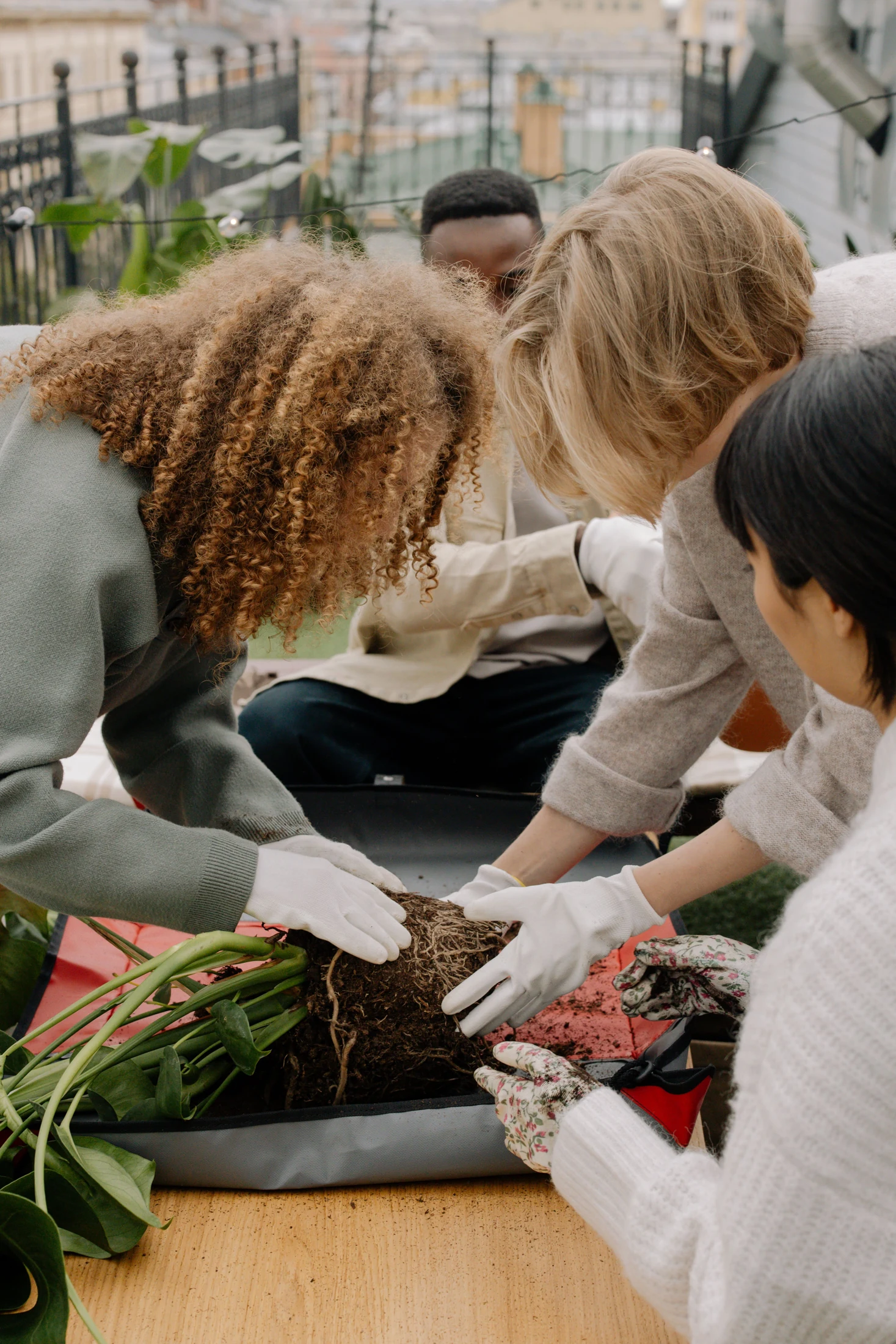 A group works together to repot a plant at an outdoor table.